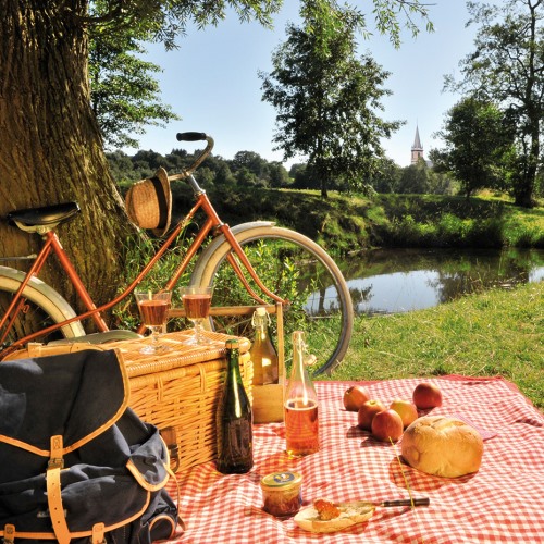 pic nic primavera