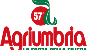 Senza titolo (Post Instagram)