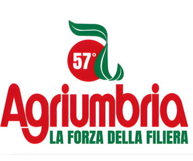 Senza titolo (Post Instagram)